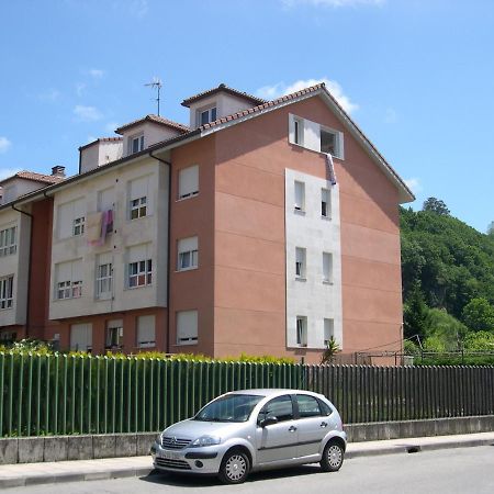 Apartamento En Contranquil Apartment Cangas de Onis Exterior photo