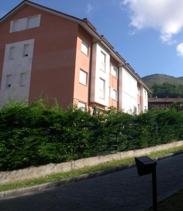 Apartamento En Contranquil Apartment Cangas de Onis Exterior photo